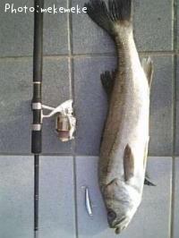 �����Х�