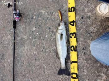 �����Х�