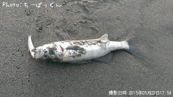 �����Х�