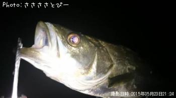 ¥á¥Ð¥ë¡õ¥·¡¼¥Ð¥¹