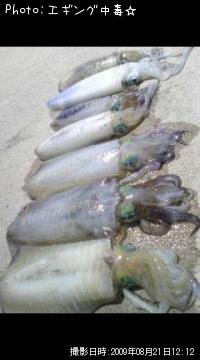 �����ꥤ��