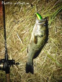 �֥�å��Х�