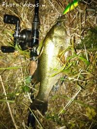 ¥Ö¥é¥Ã¥¯¥Ð¥¹