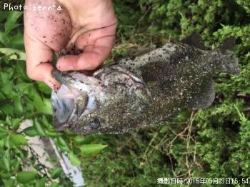 ¥Ö¥é¥Ã¥¯¥Ð¥¹