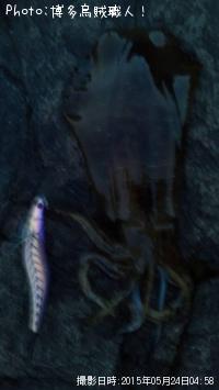 ¥¢¥ª¥ê¥¤¥«