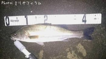 �����Х�