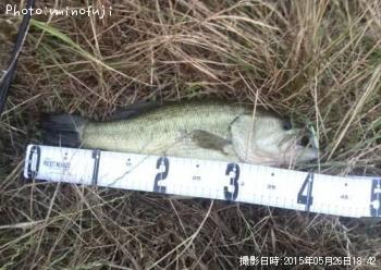 �֥�å��Х�