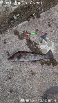 �����ʥ�