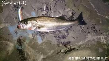 �����Х�