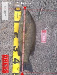 ¥¹¥â¡¼¥ë¥Þ¥¦¥¹¥Ð¥¹