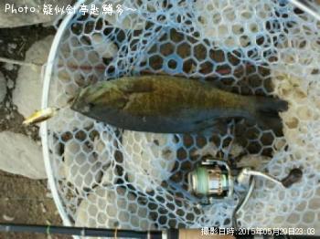 ¥¹¥â¡¼¥ë¥Þ¥¦¥¹