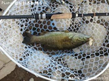 ¥¹¥â¡¼¥ë¥Þ¥¦¥¹