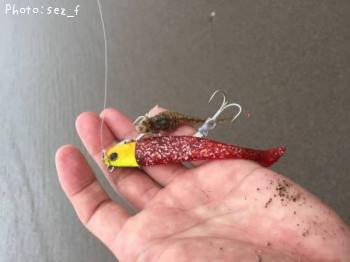 ���������ޥ���