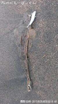 �ޥ���