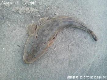 �ޥ���