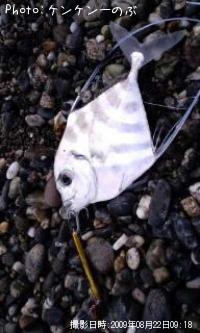 ¥Ö¥é¥ó¥«£²£¸£ç