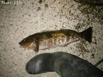 �����ʥᡢ����¾