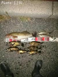 �����ʥᡢ����¾