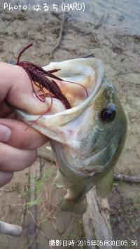 �֥�å��Х�