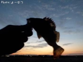 ¥¿¥±¥Î¥³¥á¥Ð¥ë