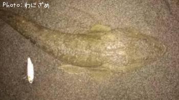 �ޥ���