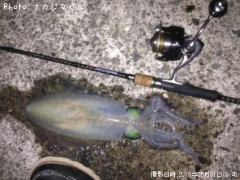 �����ꥤ��