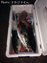 �����ꥤ��