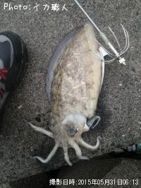 ��󥴥�����