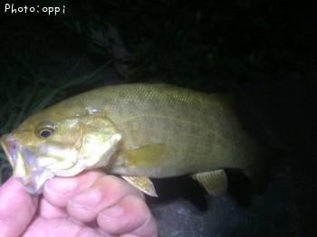 �֥�å��Х�