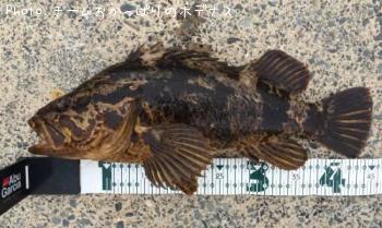 �����Υ���Х�