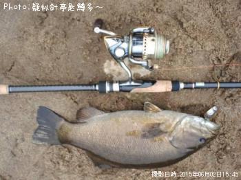 ¥¹¥â¡¼¥ë¥Þ¥¦¥¹