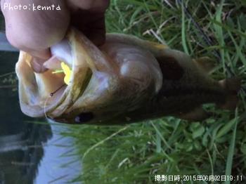 �֥�å��Х�