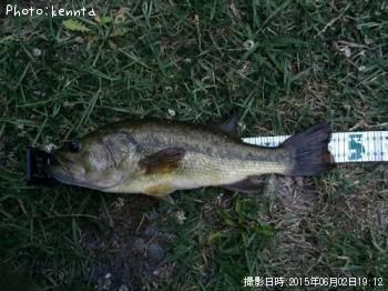 �֥�å��Х�