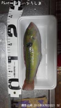 ���奦����