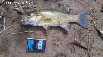 �֥�å��Х�