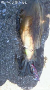 �����ꥤ��