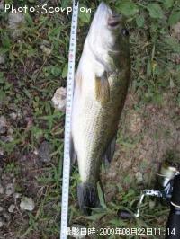 �֥�å��Х�