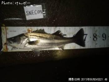 �����Х�