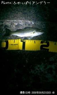 �����Х�