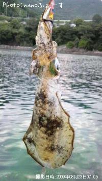 �����ꥤ��