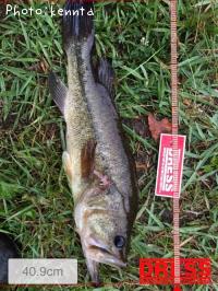 �֥�å��Х�