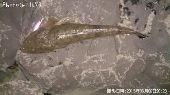 �ޥ���