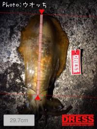 �����ꥤ��