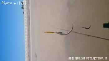 ¥·¥¿¥Ó¥é¥á