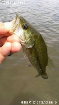 �֥�å��Х�