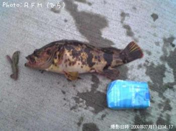 �٥å�������