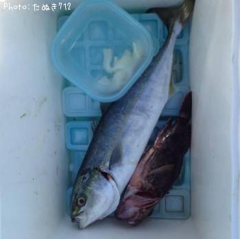 ���ʥ��ȥ�����