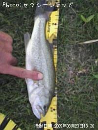 �֥�å��Х�