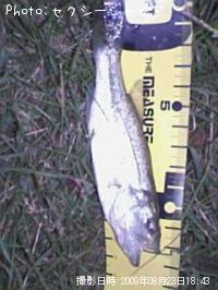 �֥�å��Х�