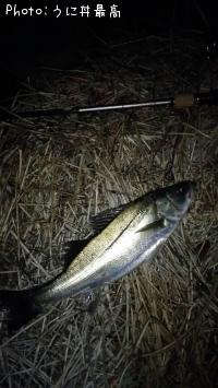 �����Х�